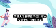 安徽大專有哪些學(xué)校？揭秘安徽?？浦械男∏迦A